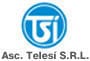 telesi logo